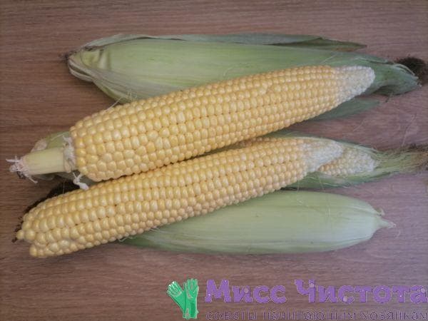 Maiskochen Foto 1