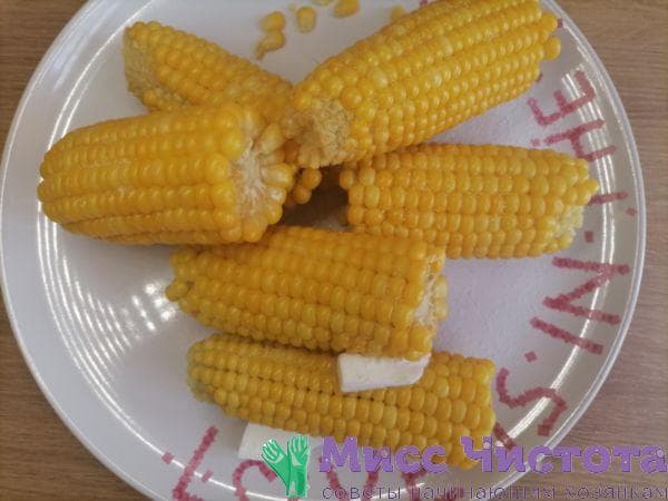 Mais kochen Foto 11
