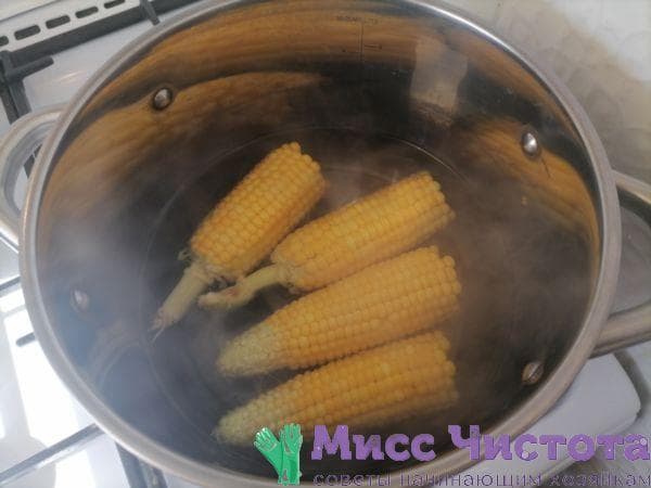 Mais kochen Foto 13