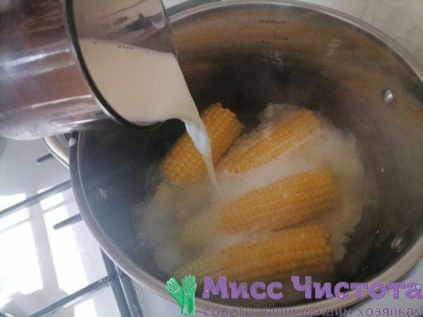 Maiskochen Foto 14