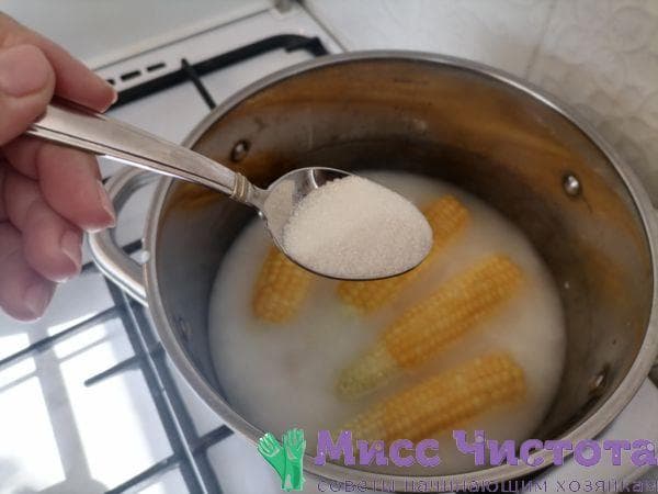 Maiskochen Foto 15