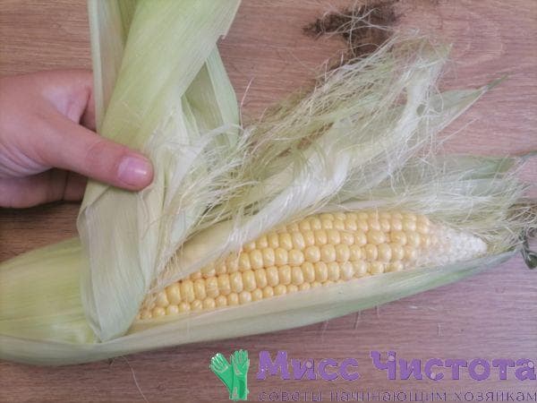 Mais kochen Foto 4