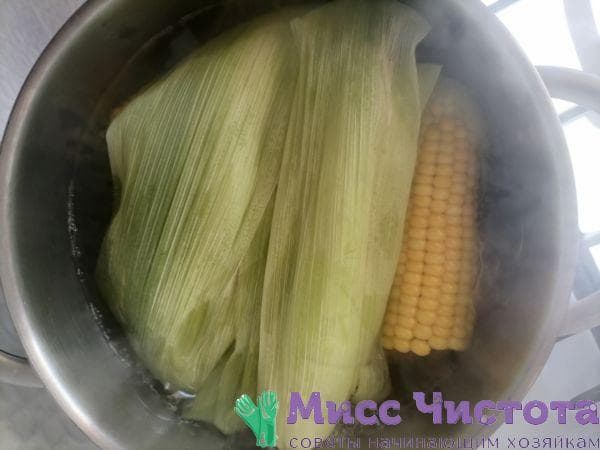 Mais kochen Foto 9