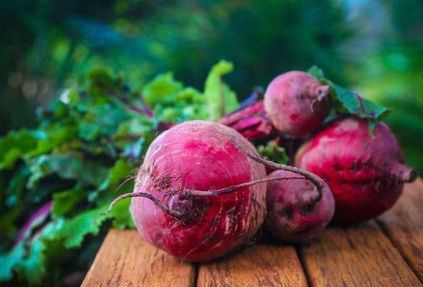 Frische Rote Bete