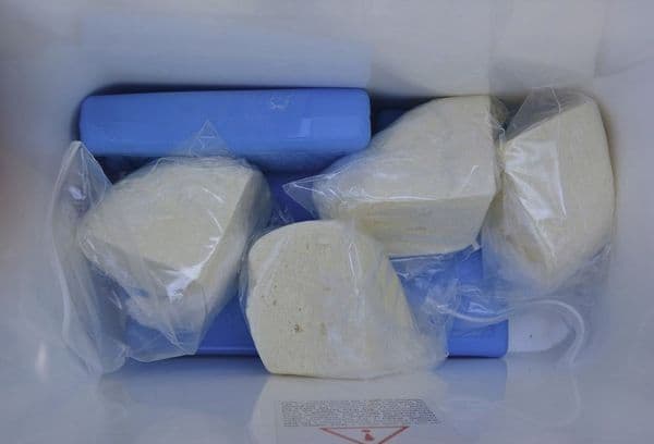 Käse im Gefrierschrank