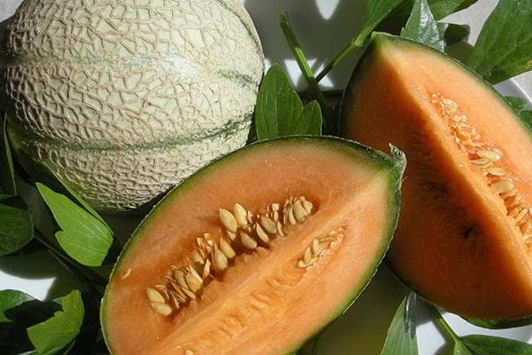 Melone Kantalupa