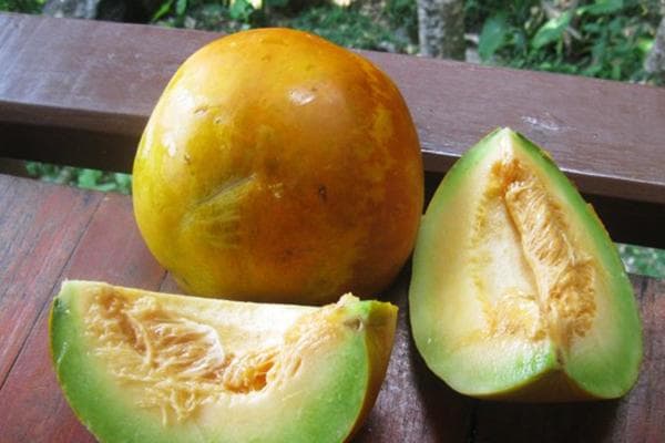 Thailändische Melone Awokadnaja
