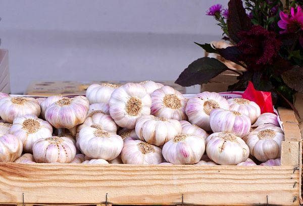 Knoblauch in einer Holzkiste