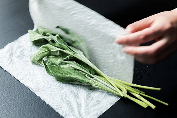Kräuterbündel im Papiertuch