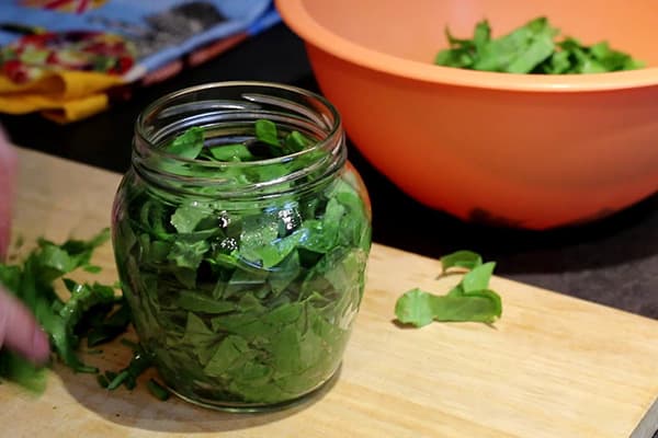 Einlegen von geschnittenem Sauerampfer in ein Glas