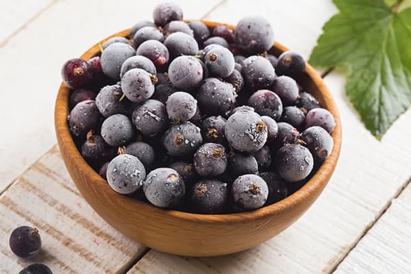 Gefrorene schwarze Johannisbeeren