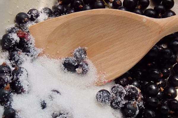Schwarze Johannisbeeren mit Zucker