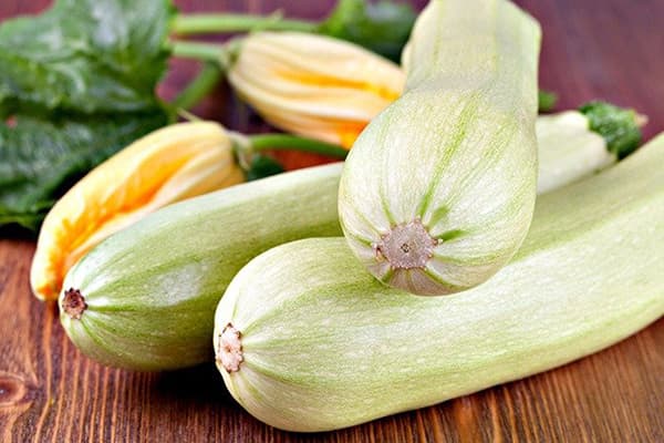 Frische Zucchini