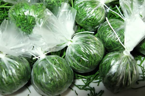 Beutel mit Dill zum Einfrieren