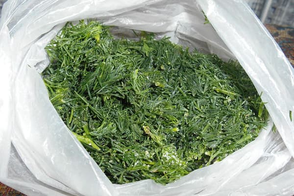 Tiefgekühlter gehackter Dill