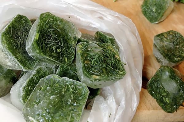 Eiswürfel mit Dill