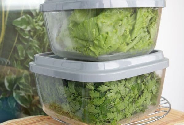 Kraut in Plastikbehältern