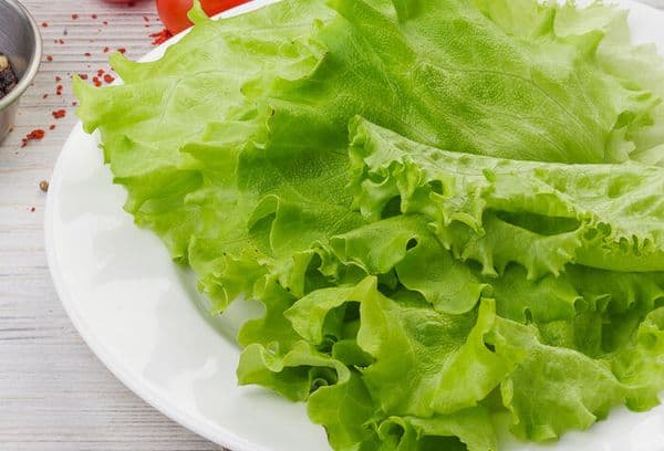 Frische Salatblätter