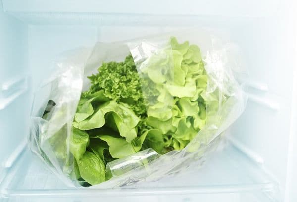 Salatblätter im Gefrierschrank