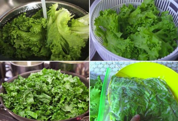 Zubereitung und Einfrieren von Salat