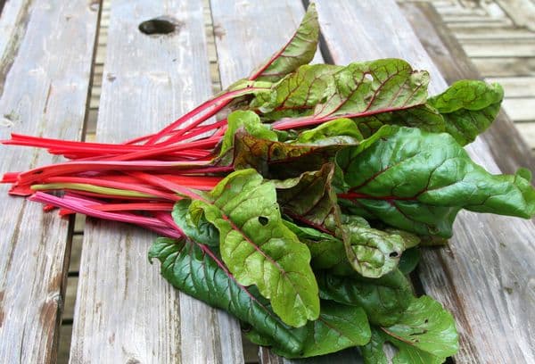Frisches Rote-Bete-Kraut