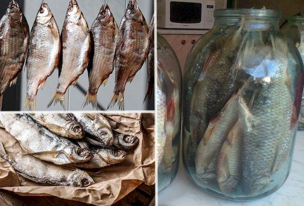 Lagerung von rotem Fisch