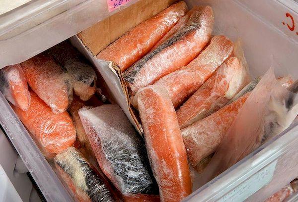 Aufbewahrung von gesalzenem Fisch im Gefrierfach