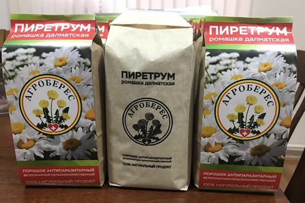 Pyrethrum-Pulver