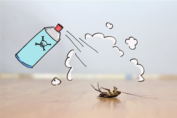 Beseitigung einer Kakerlake mit einem Aerosol