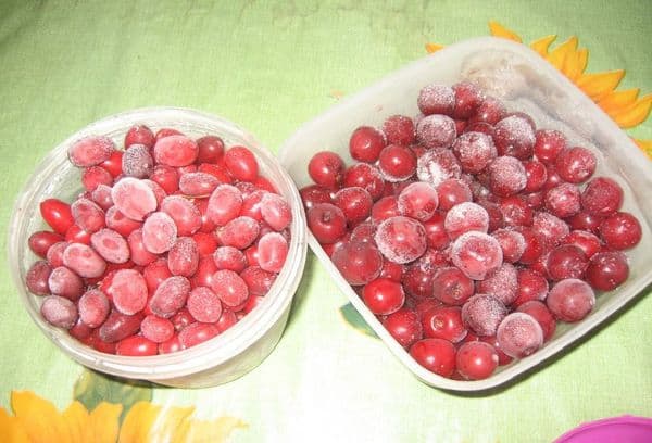 Gefrorene Tomaten