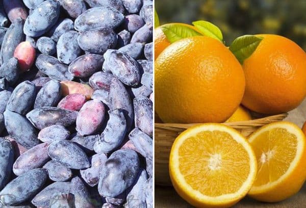 Heidelbeeren und Orangen
