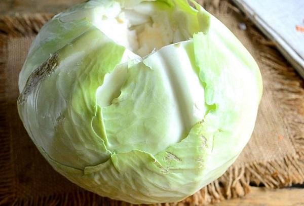 Wir schneiden den Strunk aus dem Kohl
