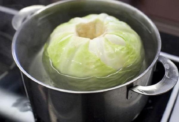 Kohl im Topf