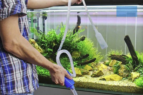 Reinigung des Aquariums vor dem Wasserwechsel