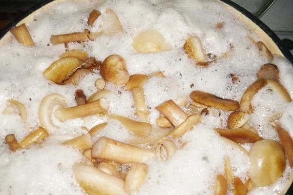 Schaum beim Kochen von Pilzen