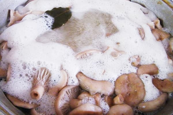 Pilze kochen