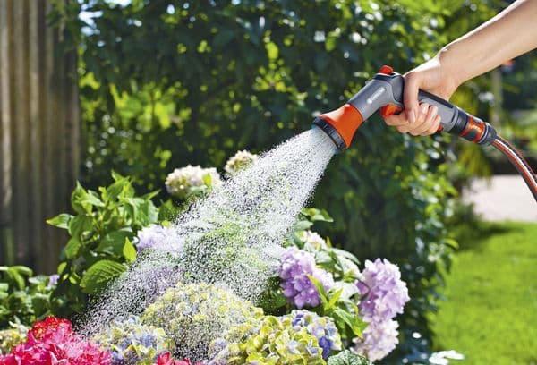 Gießen von Blumen im Garten
