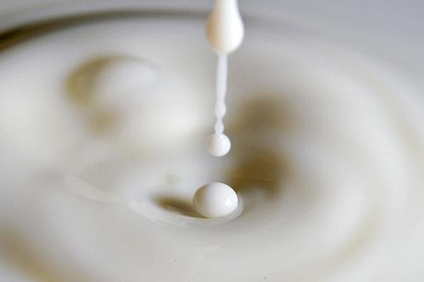 Pasteurisierte Milch