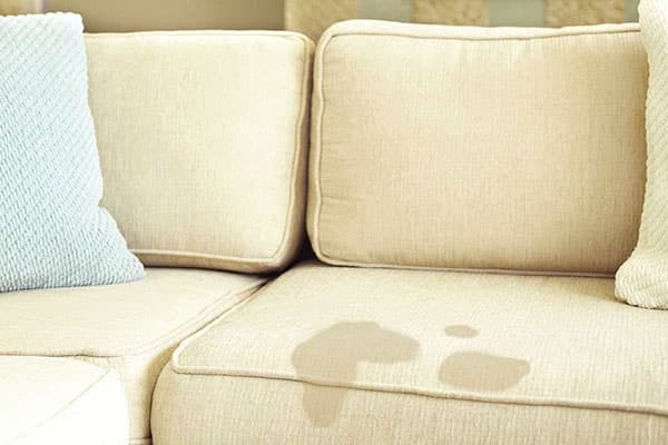 Urinflecken auf dem Sofa