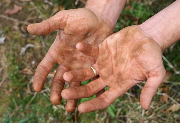 Hände, die durch Pilze verschmutzt sind