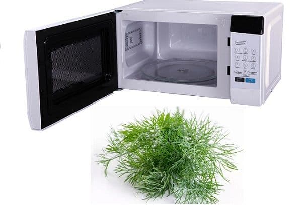 Mikrowelle und Dill