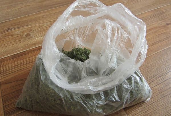 Dill in der Tüte