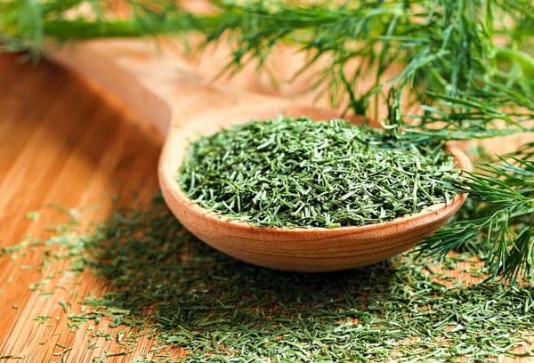 Getrockneter Dill auf einem Holzlöffel