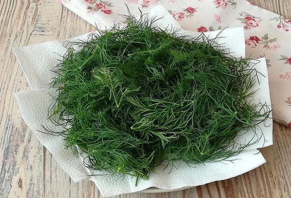 Trocknen von Dill