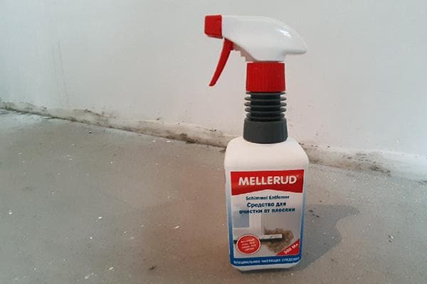 Mellerud Schimmelspray