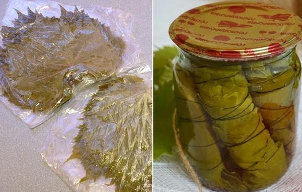 Einlegen und Einfrieren von Weinblättern