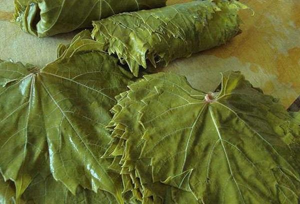 Weinblätter für Dolma