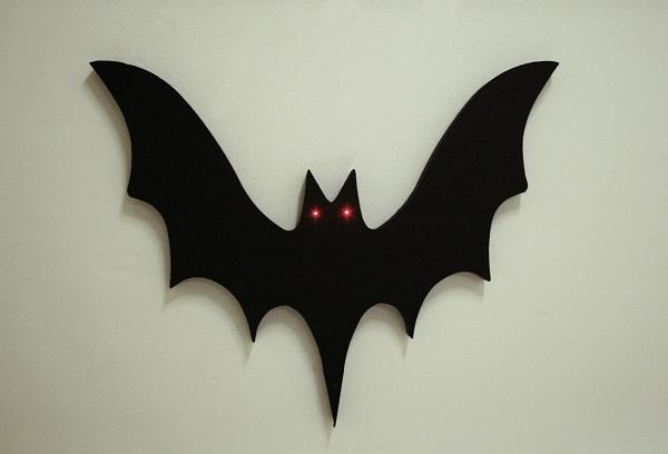 Fledermaus