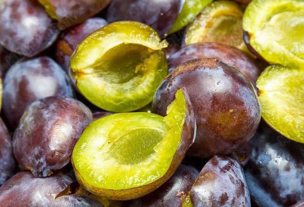 Frische Pflaume