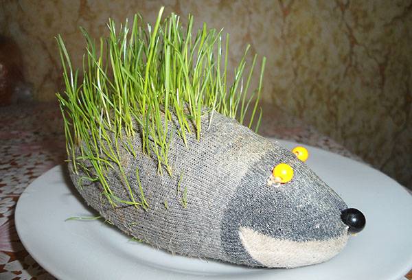 Igel mit Gras aus alten Strumpfhosen